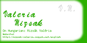 valeria mizsak business card